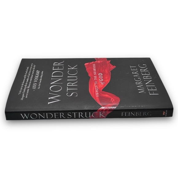 ⚡️3/$15⚡️ Wonderstruck: Awaken to the Nearness of God by Margaret Feinberg - Picture 3 of 3